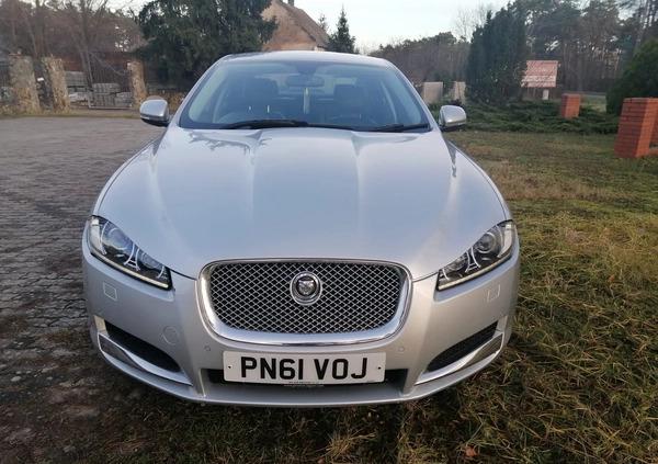 Jaguar XF cena 27900 przebieg: 220000, rok produkcji 2012 z Gubin małe 596